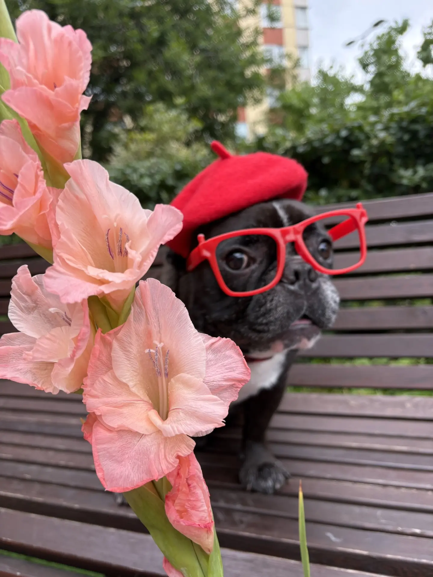 Всех с 1 сентябрь 🤓🌸