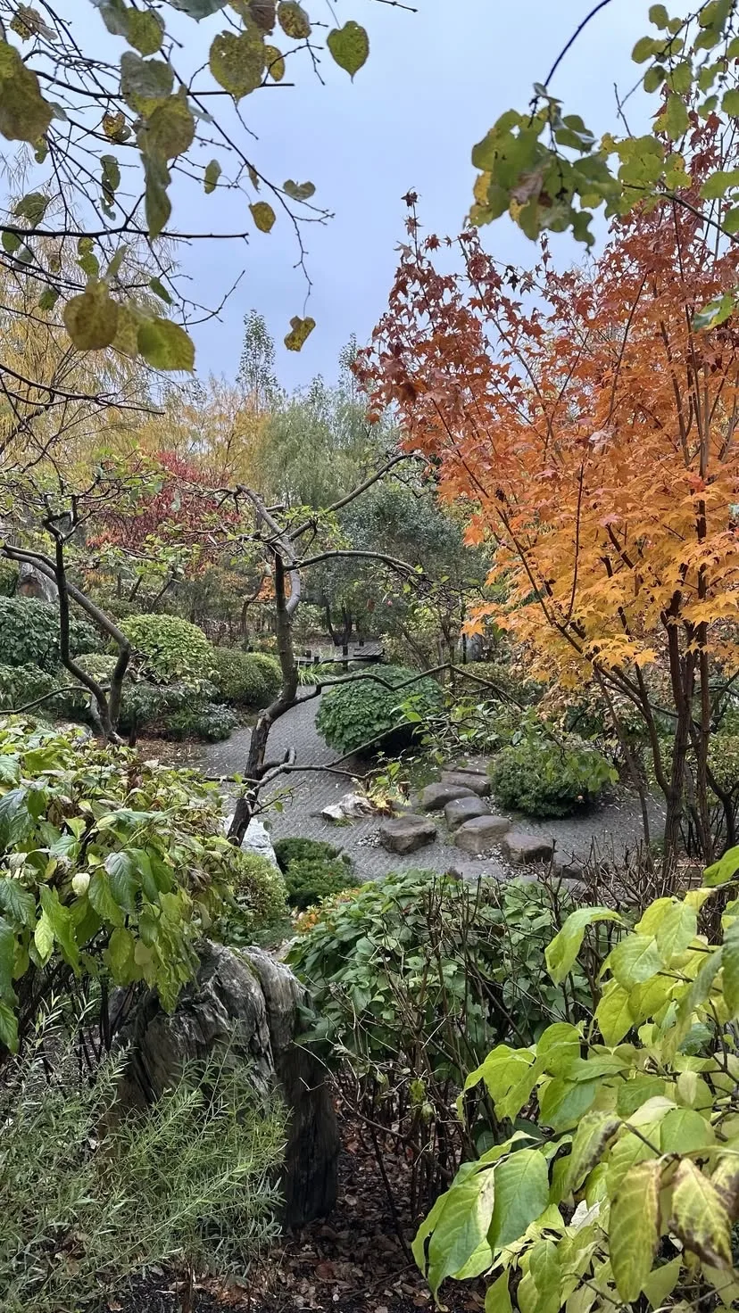 Тюмень! Японский сад 🍂
