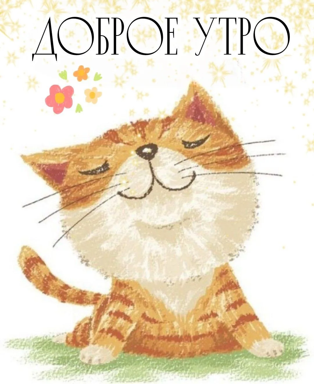 Доброе утро, Жуковский !