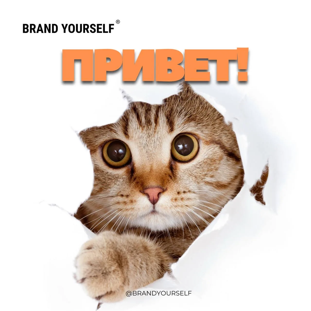 Вежливая привычка, из-за которой вас пролистывают

Не начинайте сторис, пост или видео с «привет», «