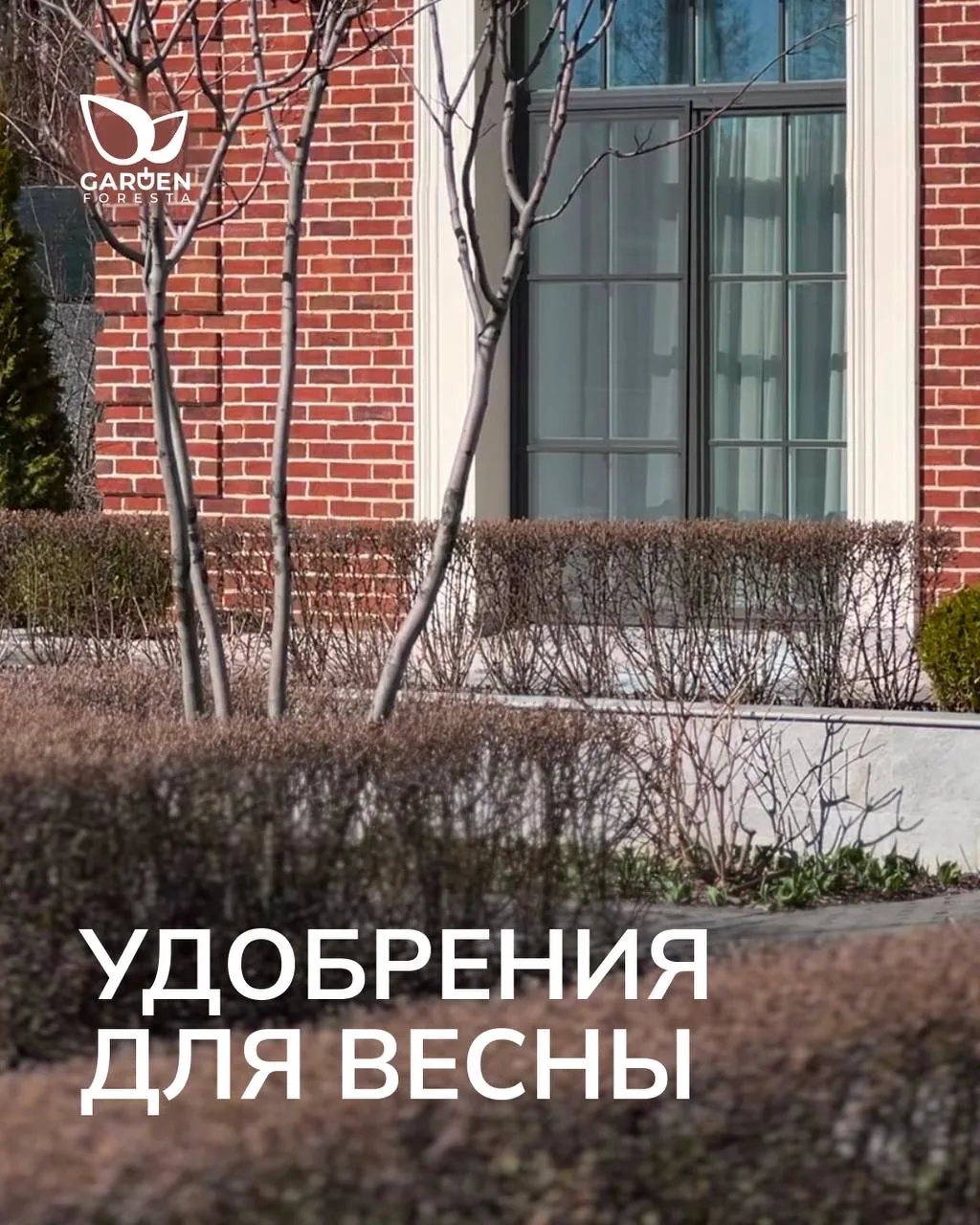 Шпаргалка по удобрениям на весну.

Набор удобрений для весеннего запуска сада. Мы применяем эти прос