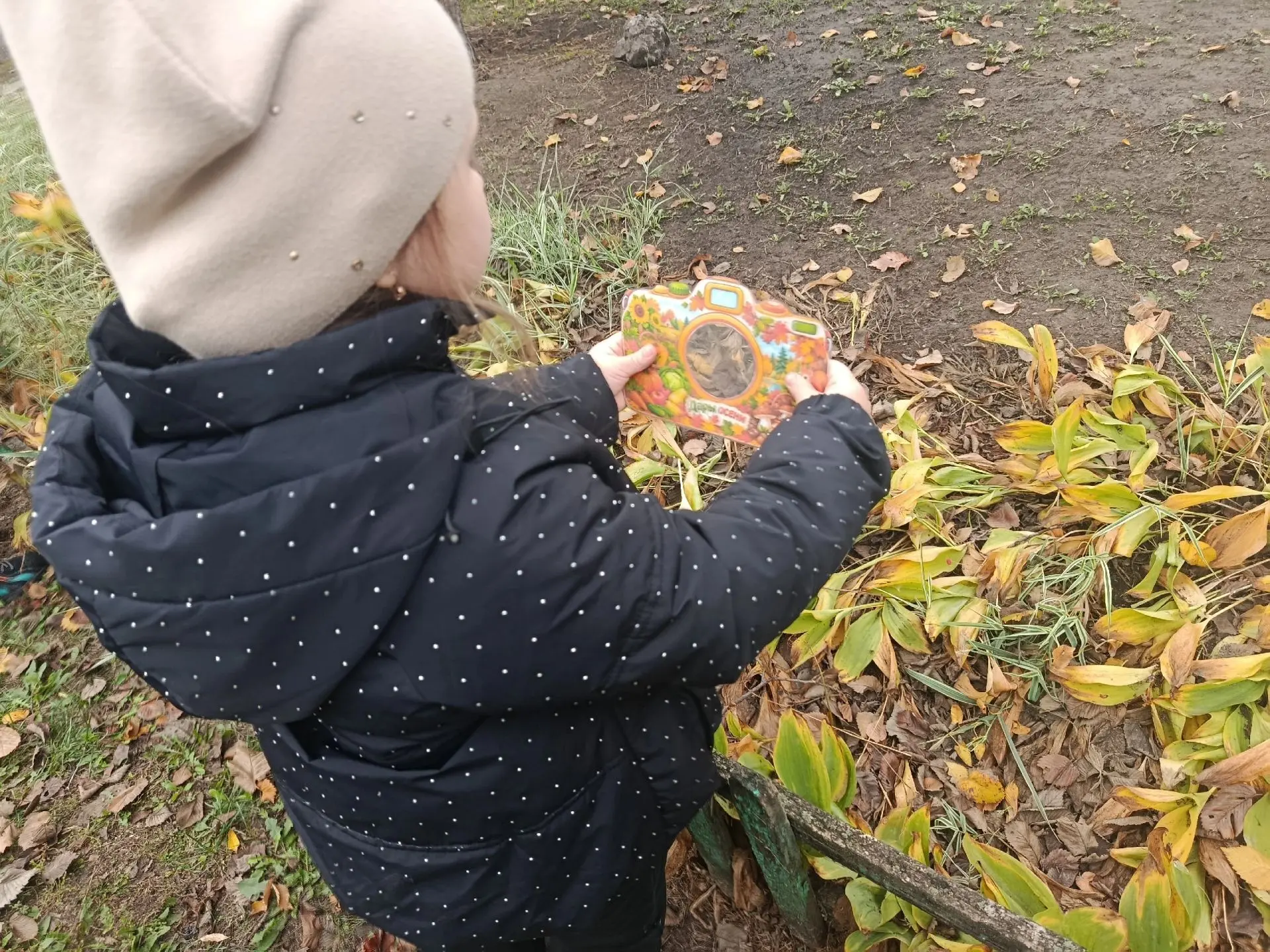 🍂🍁Осенняя прогулка с фотоаппаратом:маленькие шедевры большой природы! 🍂🍁Сегодня реб...