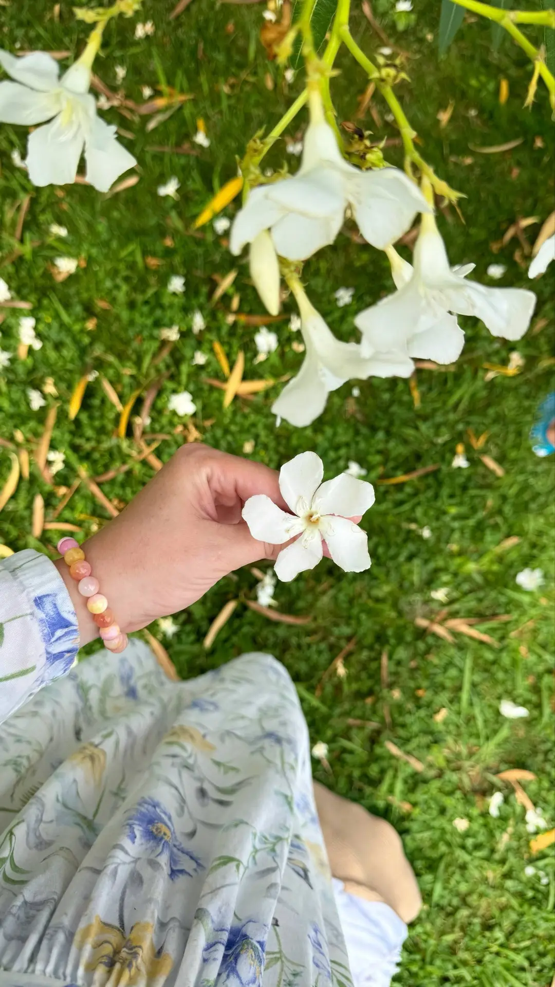🌸С воскресным днем, дорогие🤍
