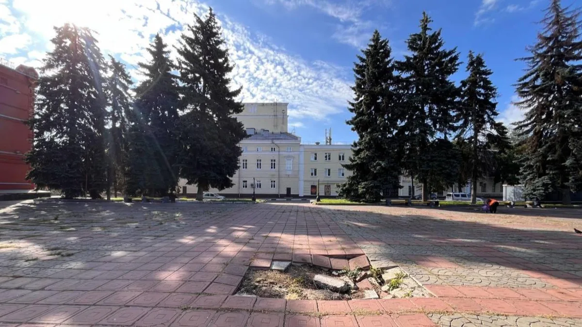 В Орле прокуратура вновь спасает деревья от вырубки

По поручению прокурора Орловской области Алексе