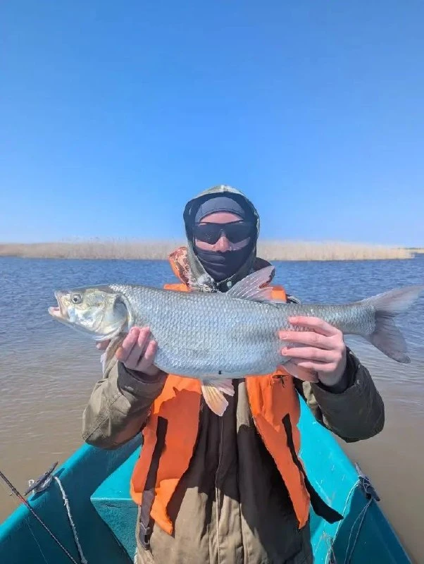 Красавец! 👌🎣