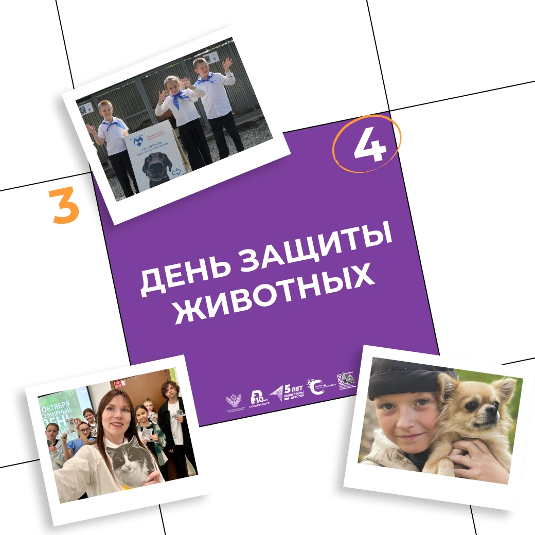 4 октября, начиная с 2000 года, в России отмечается Всемирный день защиты животных 🐾