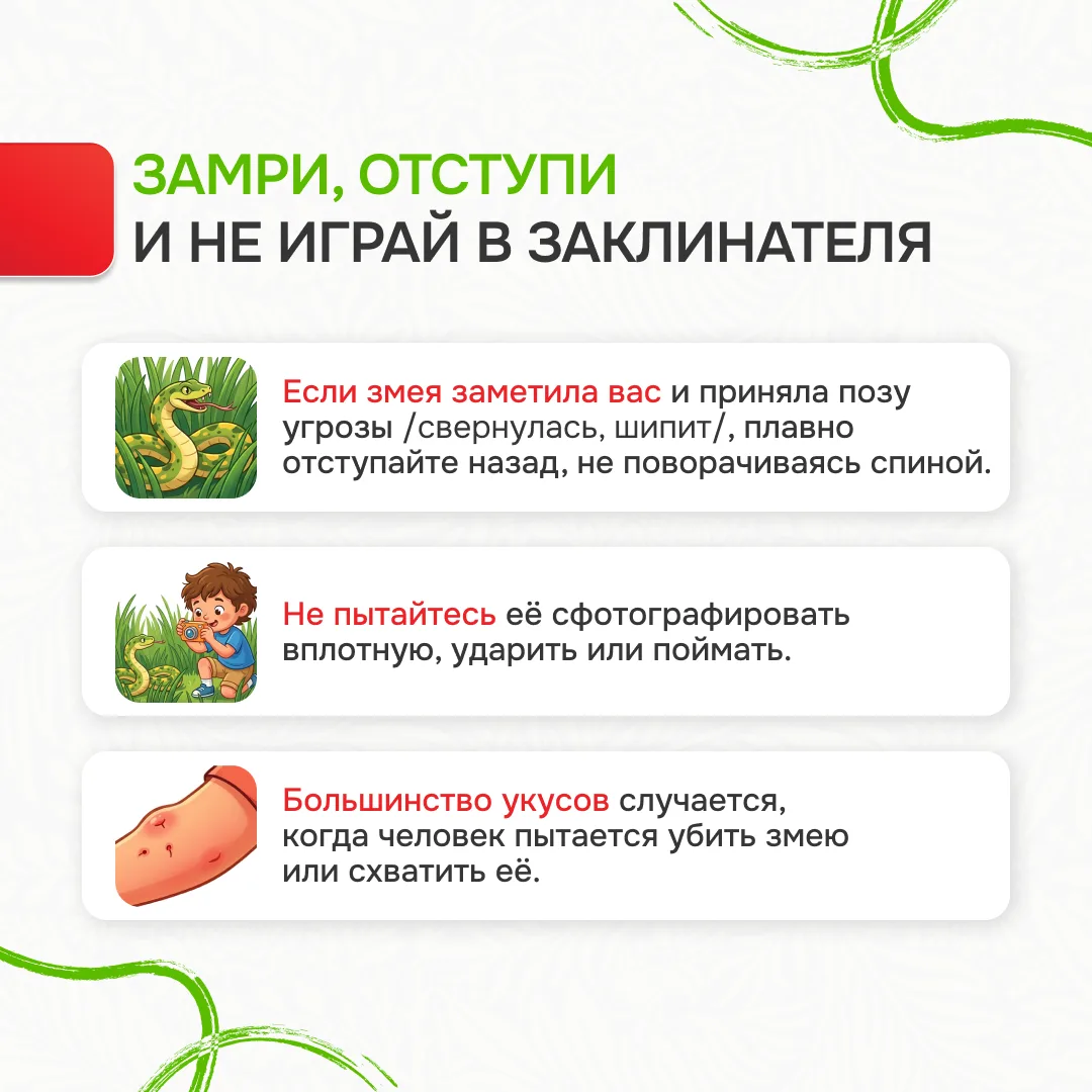 Памятка «Лес без происшествий»: Ваш гид по безопасному отдыху на природе Лес – это удивительное мест