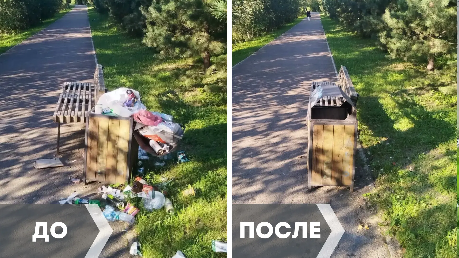 До и после: зачем нужны урны? 🗑