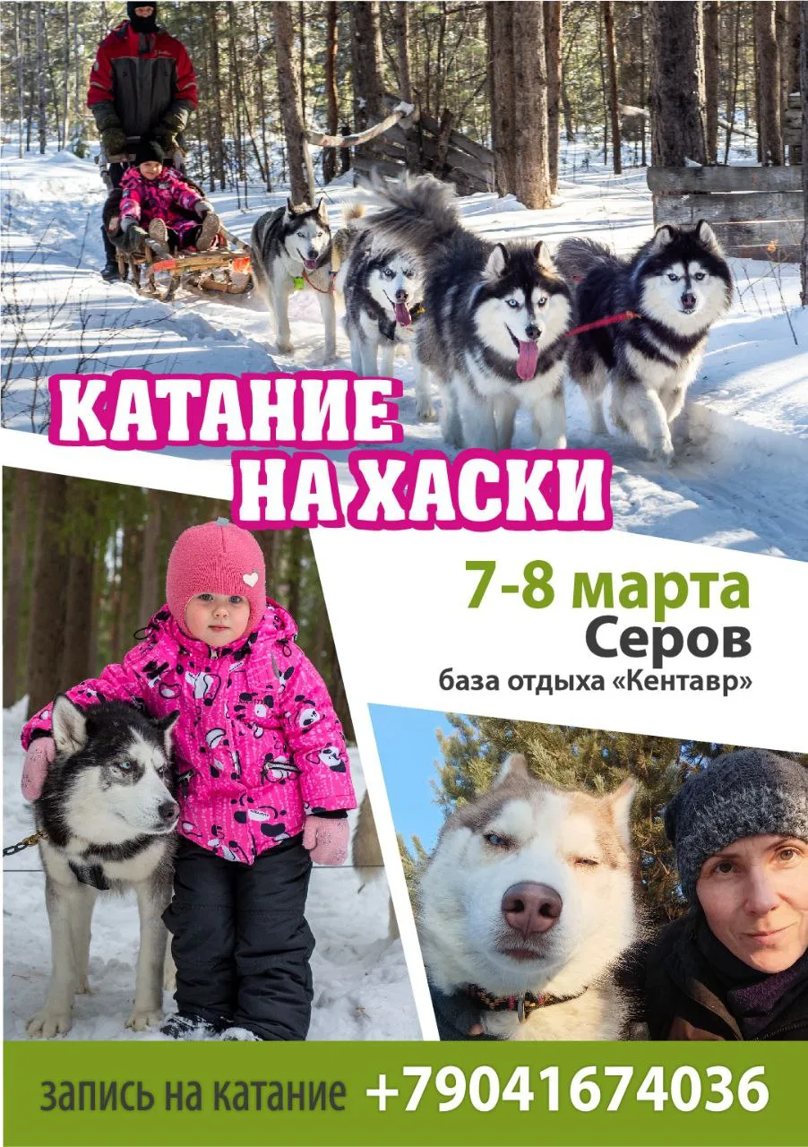 7–8 марта – хаски-дворик в Серове на базе отдыха «Кентавр»! Пока зима делает последние ...