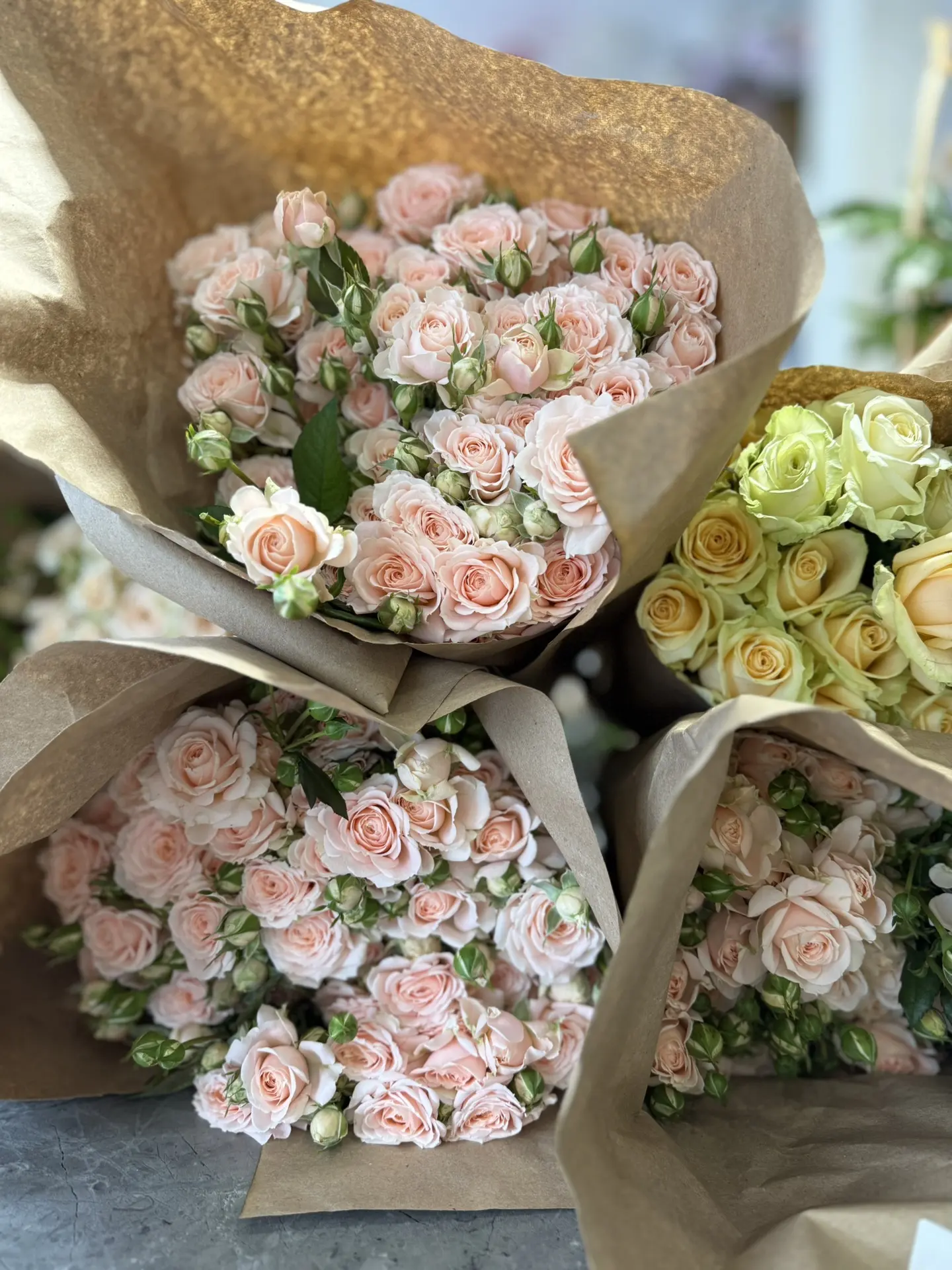 Свежая срезка каждый день 🌸
