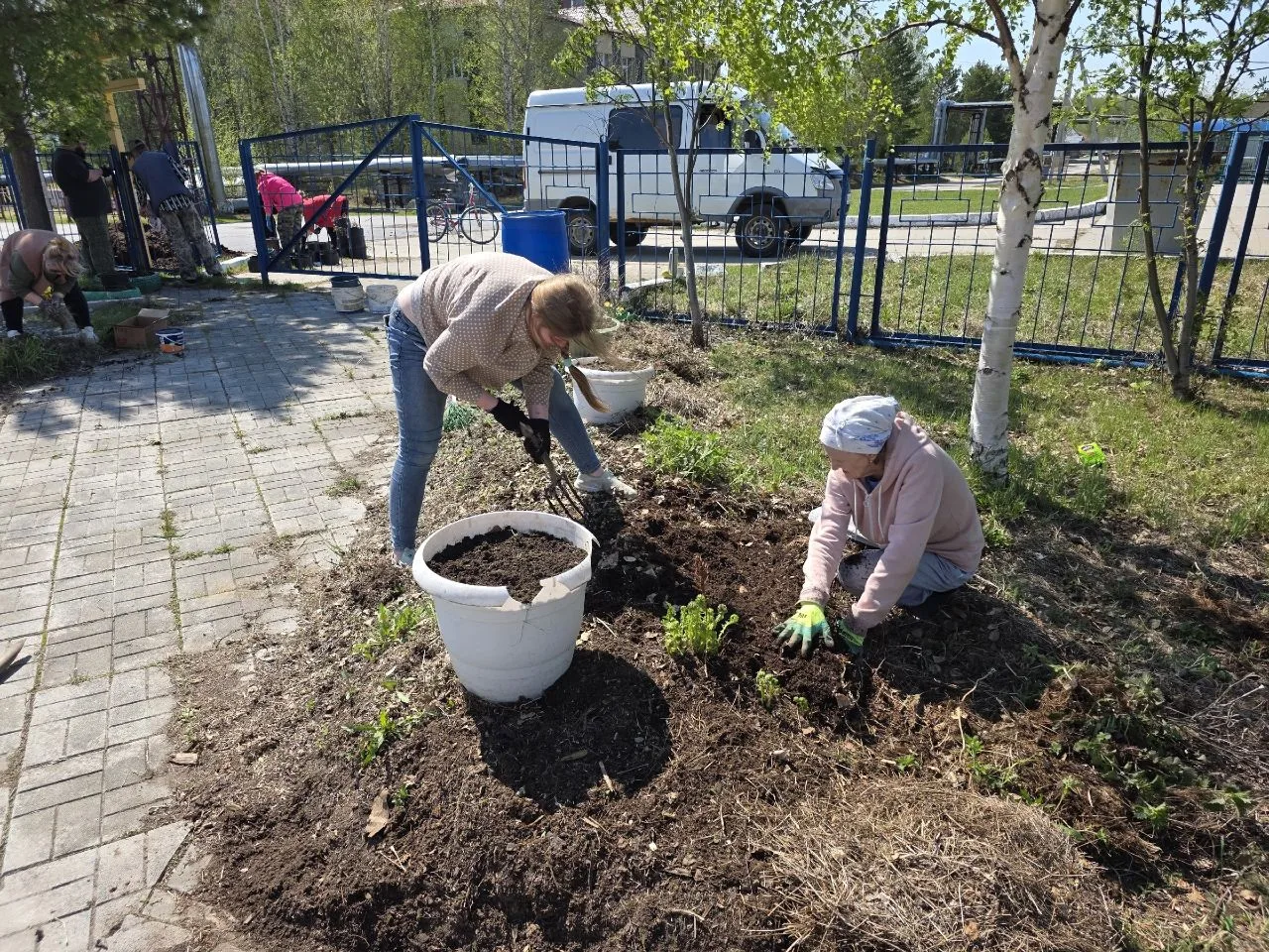 Сегодня коллектив Дома культуры сельского поселения Покур дружно вышел на субботник, чт...