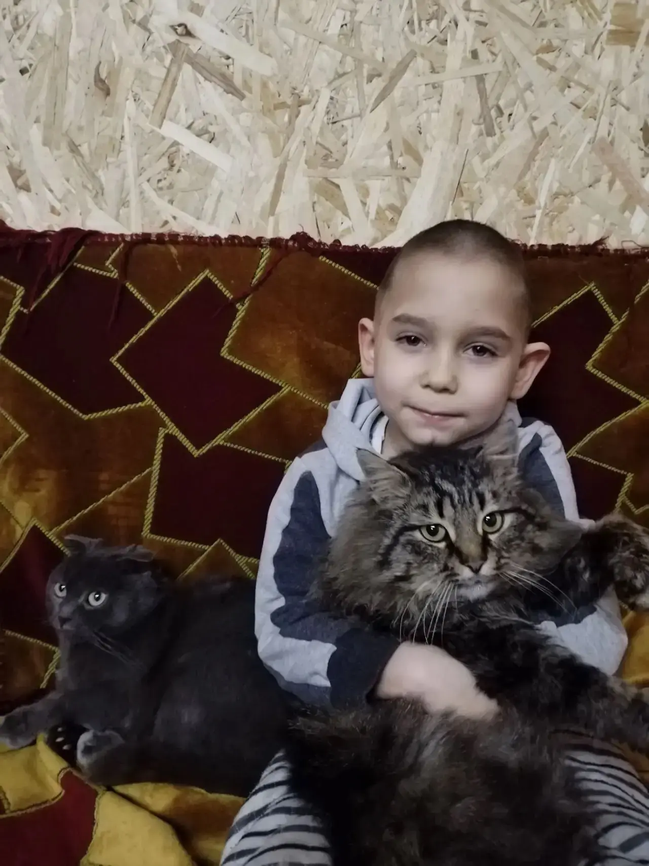 Чернаков Владимир (1 класс), со своим котом Мурзиком. 🐾