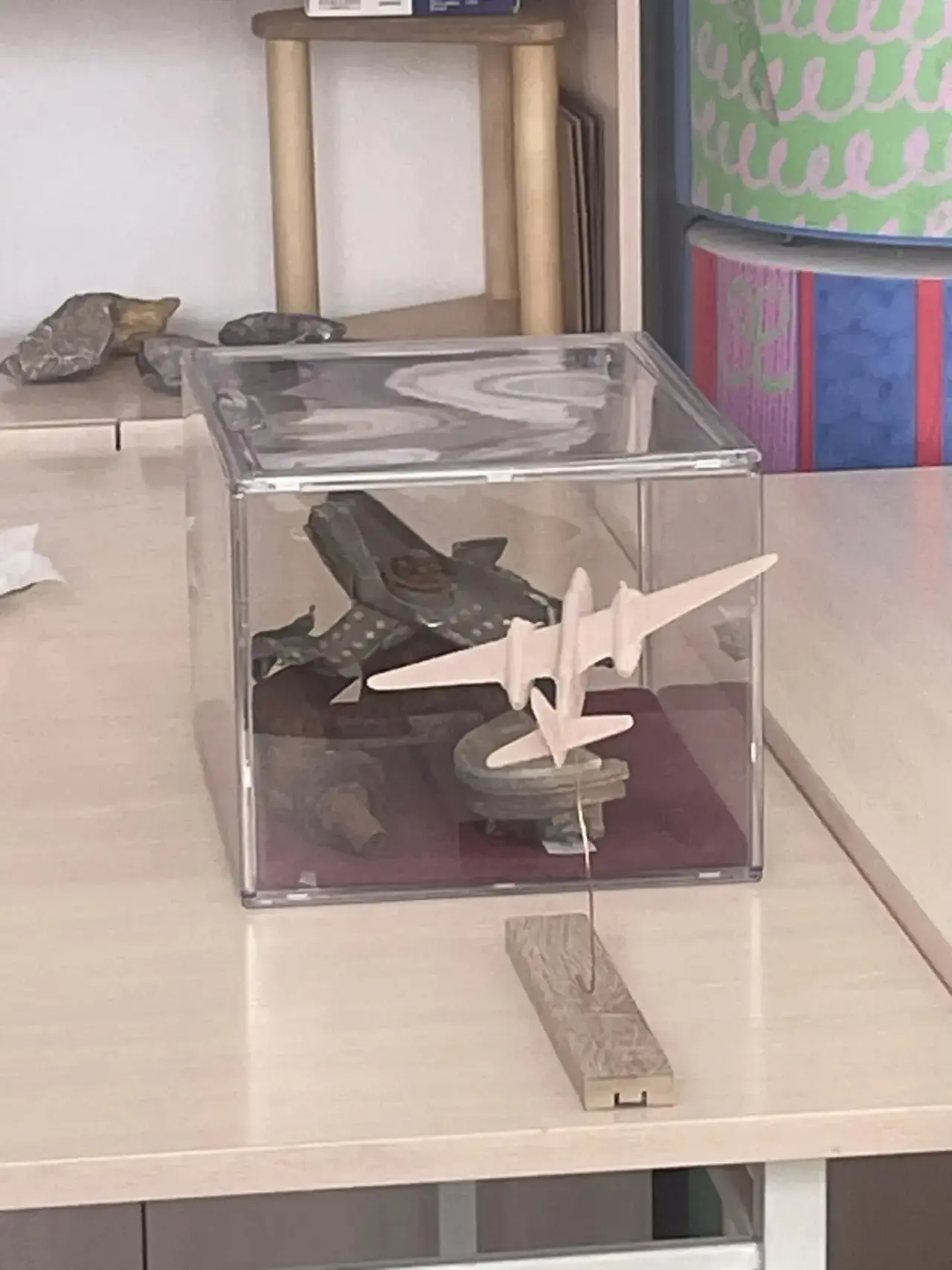 Где еще вы увидите исследования от уток до самолетов в одном месте? 🦆✈️ Только у нас на V Юбилейной 