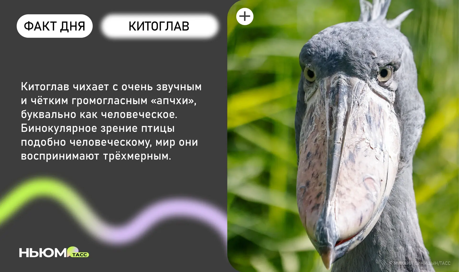 Знали?