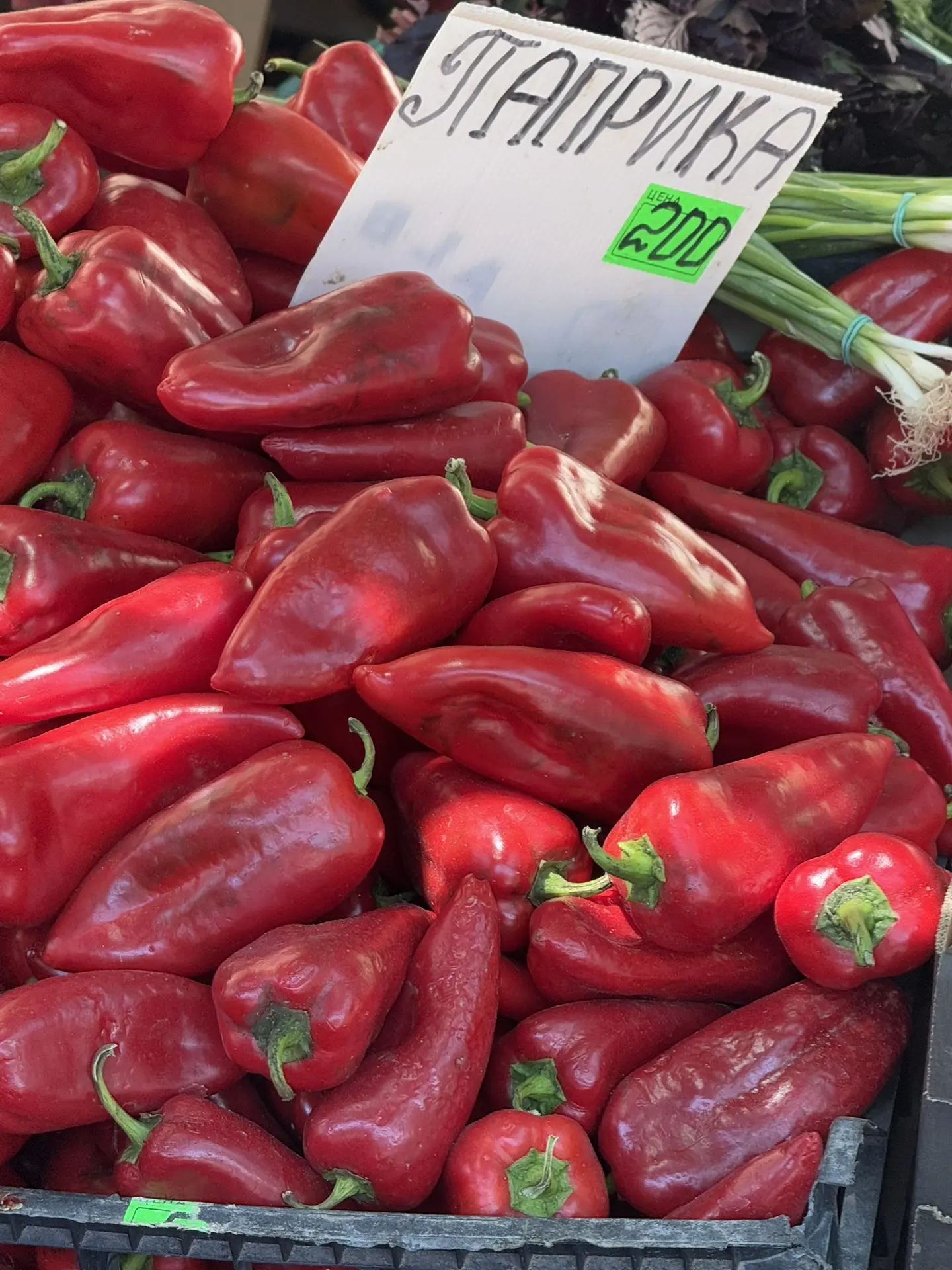 Восточный рынок в эту субботу🍉🌽🌶️🥒🍎🍏🍅🍆🫑