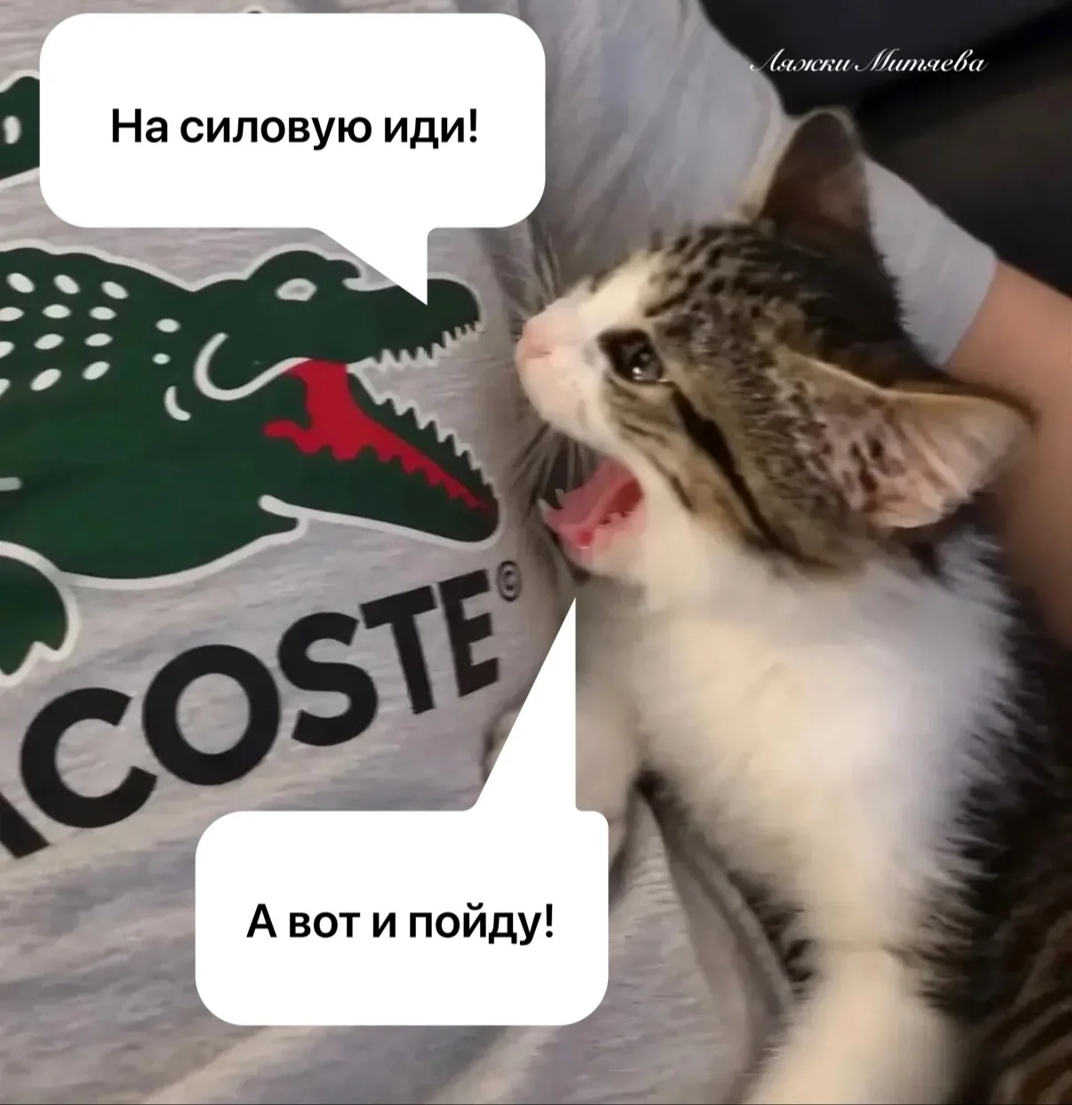 Когда решил пропустить силовую, но вся реальность кричит мне о том, чтобы я не пропускал.