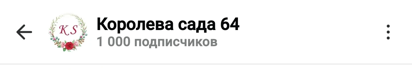 РОЗЫГРЫШ РАСТЕНИЙ!