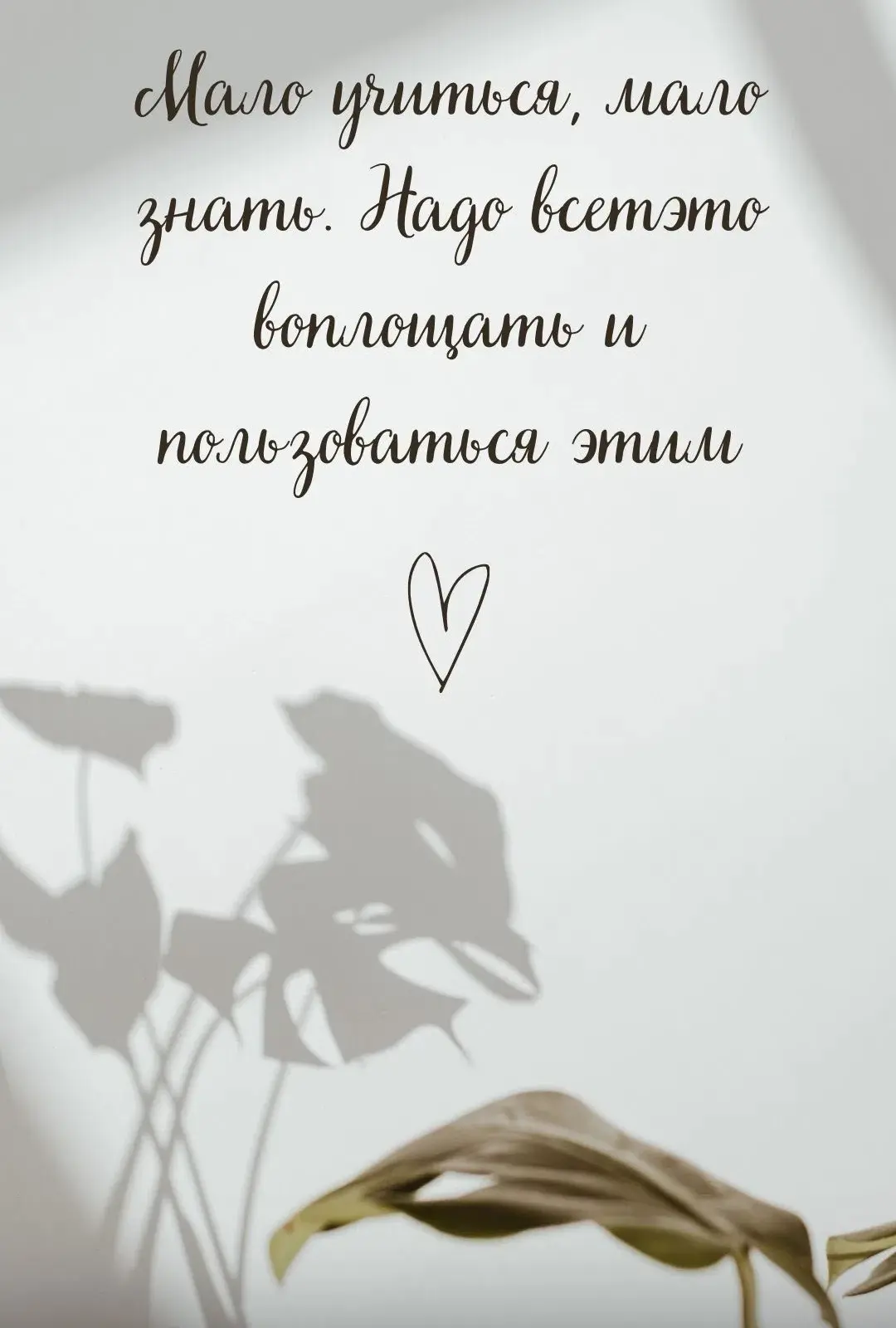 Добрый день, друзья❤️! 

Послание дня ✨

✨✨✨✨✨✨✨✨✨✨✨✨✨✨✨✨✨
СКАЖИТЕ МНЕ — И Я ЗАБУДУ, ПОКАЖИТЕ МНЕ — 
