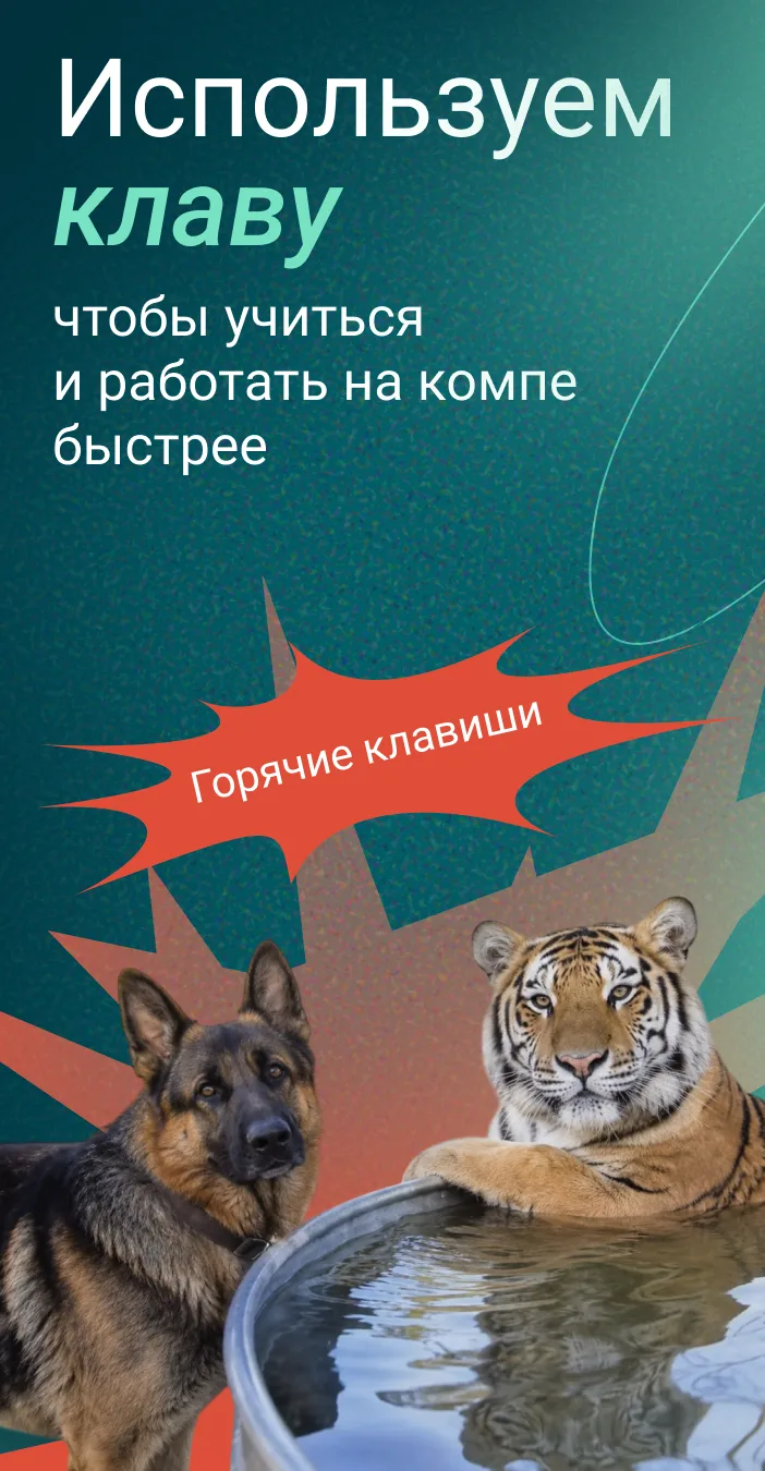 Чтобы тигру было не грустно, собачка решила рассказать ему о горячих клавишах!