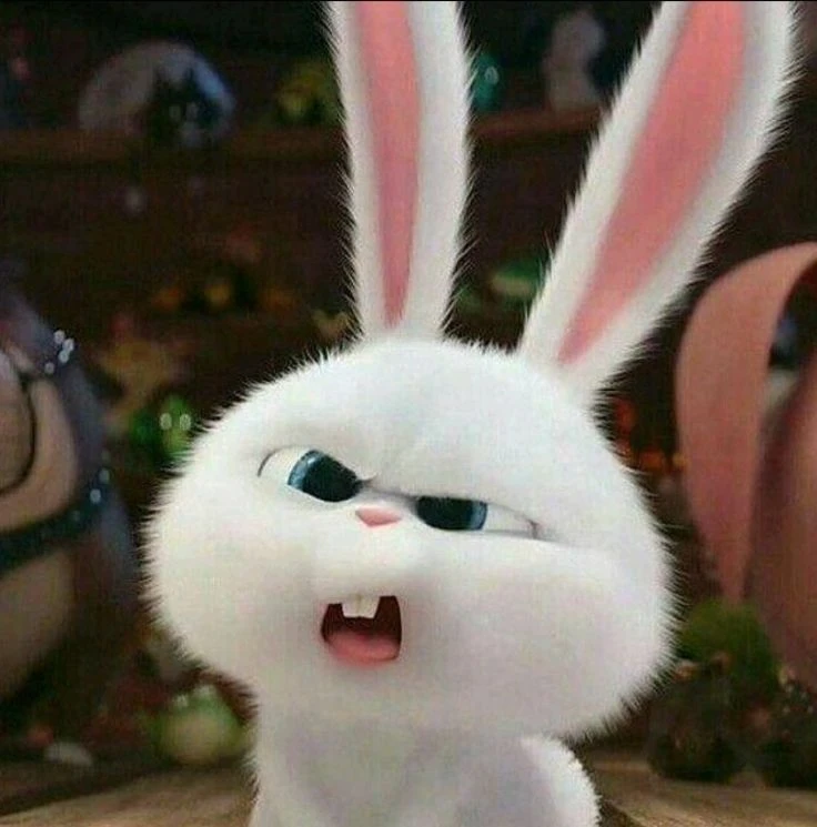 🐰 Милые авы со Снежком 💗
