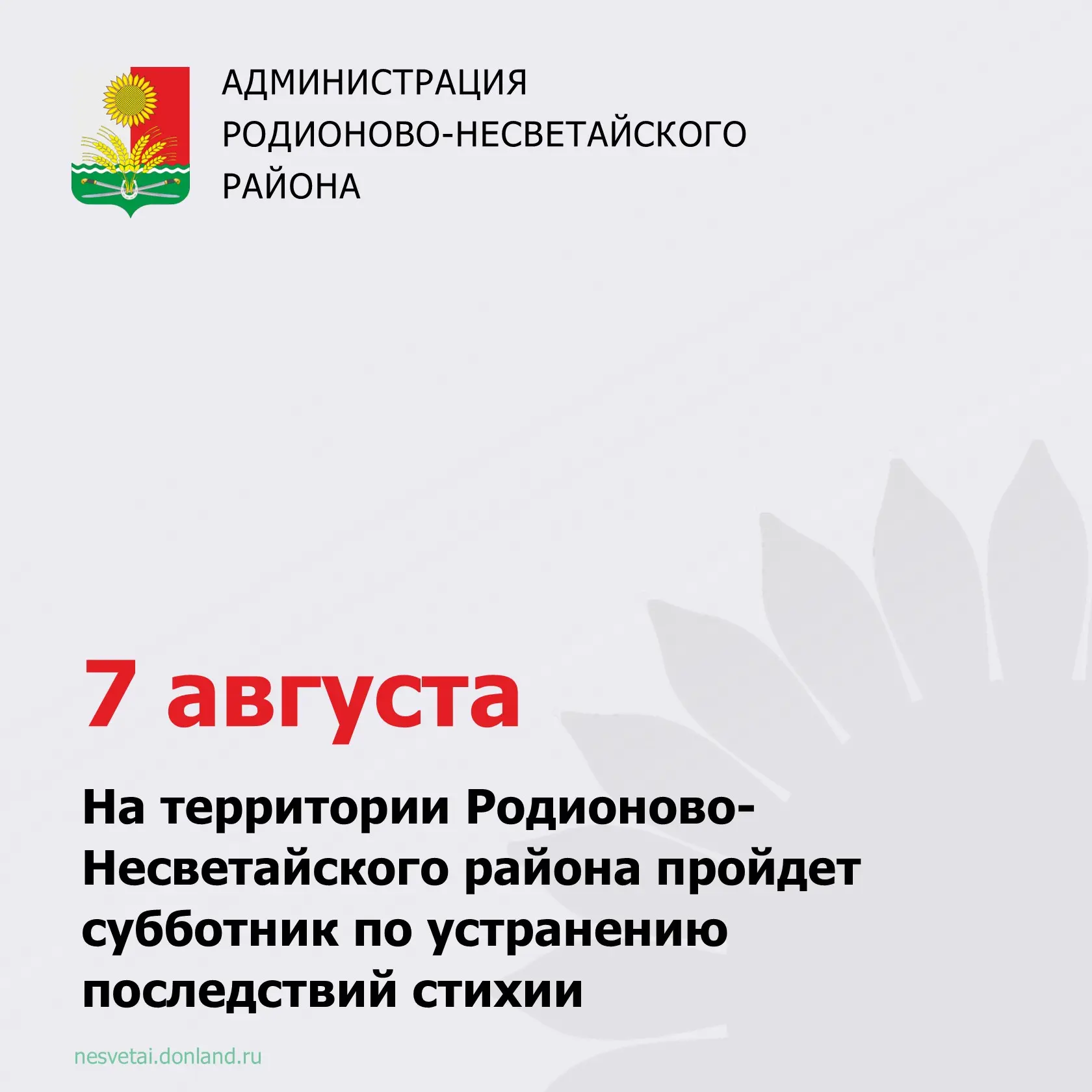 Медиа публикации