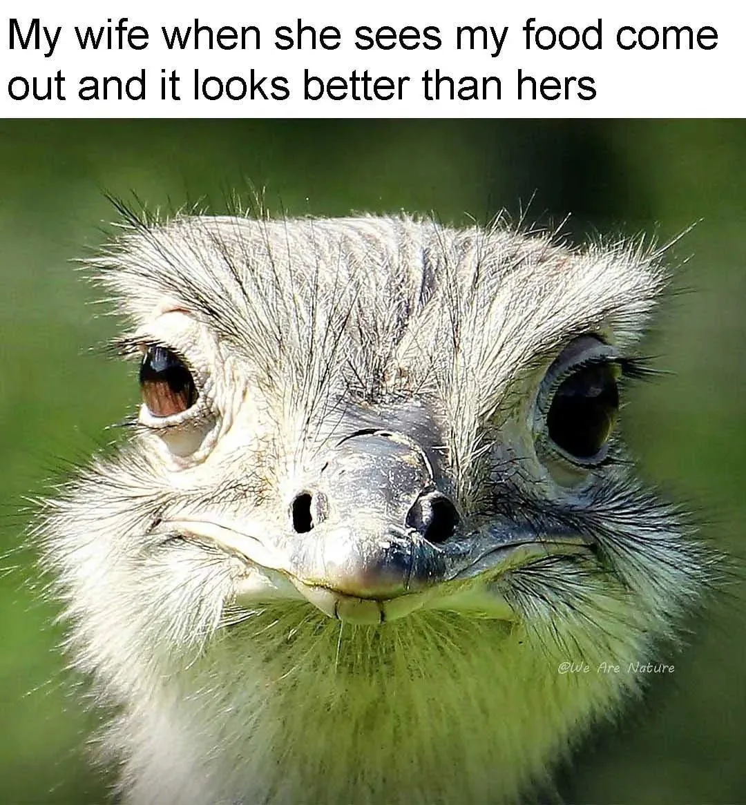 My wife when she sees my food come out and it looks better than hers