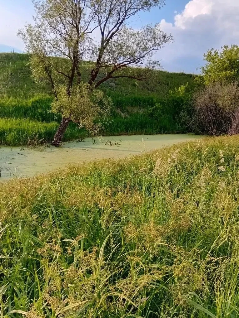 🏊🏊🏊РЕЙД НА ВОДОЁМЕ 

🌀🌀🌀С целью осуществления контроля за организацией летнего отдыха детей 11