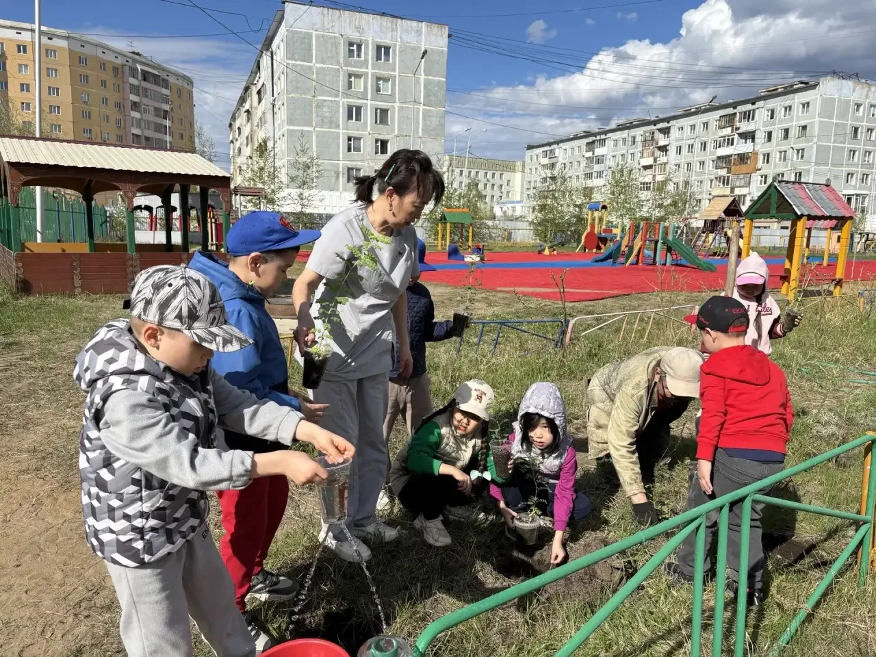 Воспитанники подготовительной к школе группы «Солнышко» завершили проект «Акации из сем...