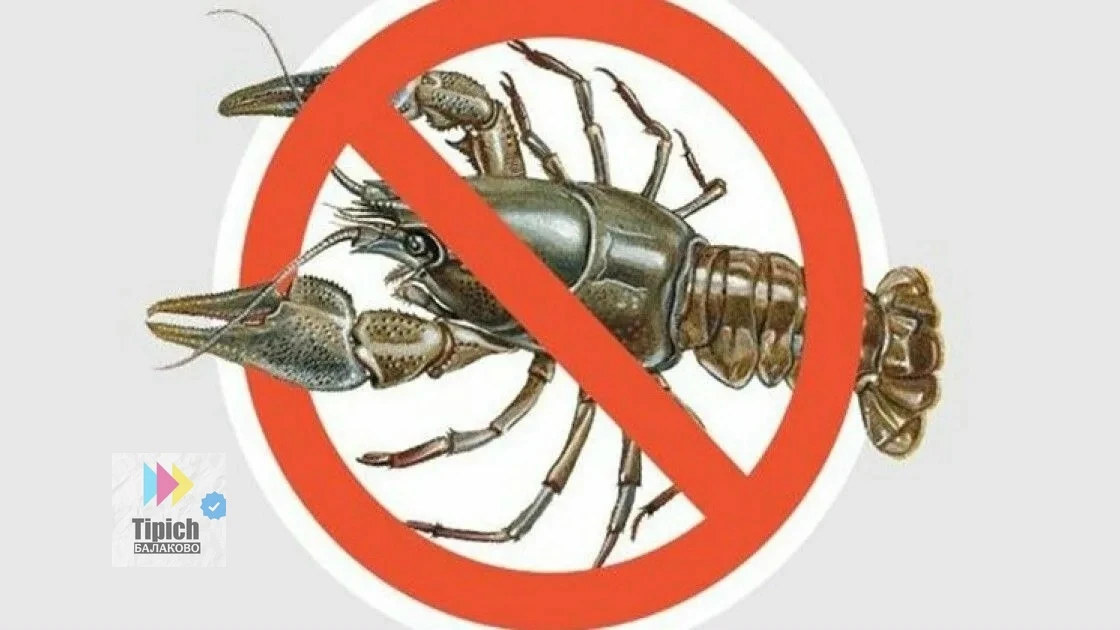 🦞 Штраф за вылов рака вырос в 15 раз: с 115 до 1 688 рублей