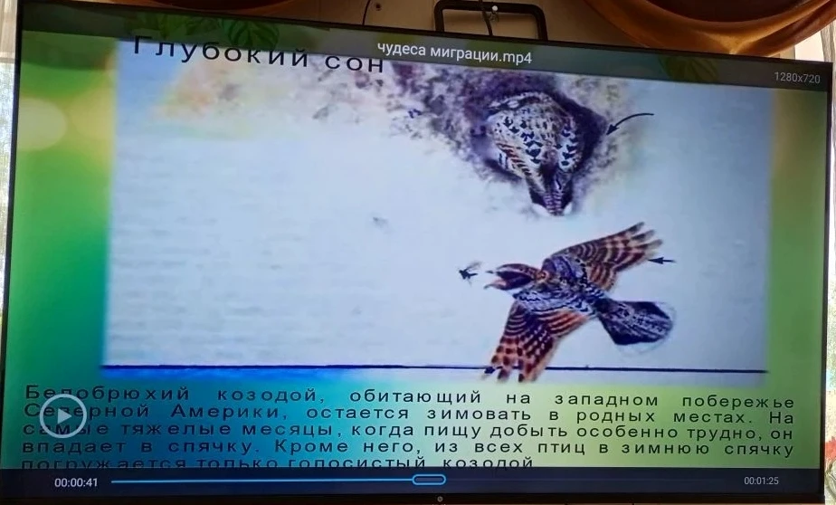Сегодня наши получатели социальных услуг собрались для просмотра видео презентации о чу...