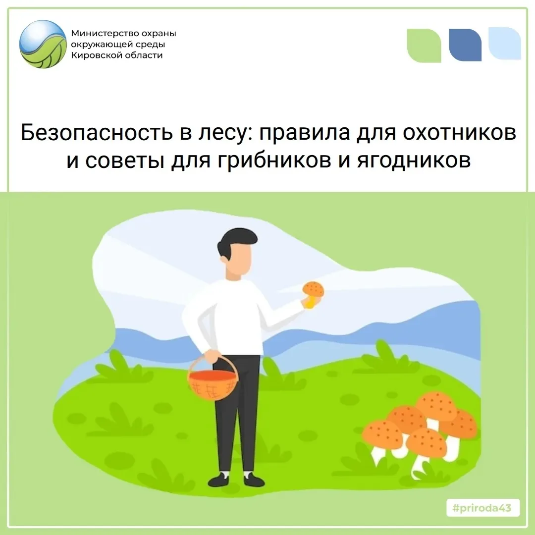 При охоте в местах, где могут находиться грибники и ягодники, особенно важно соблюдать ...