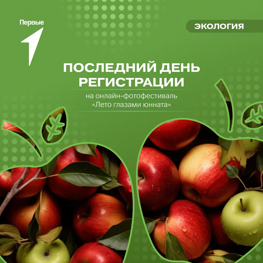 92 дня. 2 208 часов. 132 480 минут 🌿