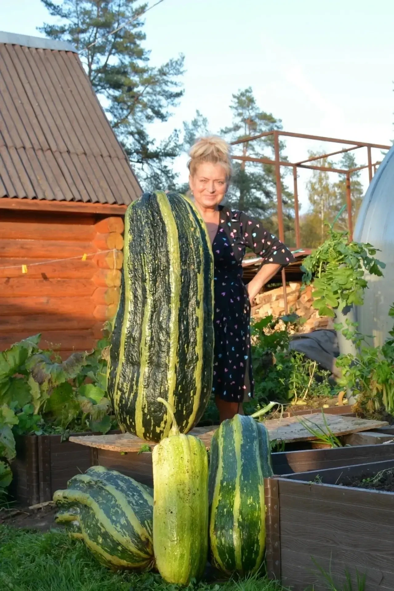 🥒 Кабачок весом 46 кг вырос на огороде у жительницы Плюсского района