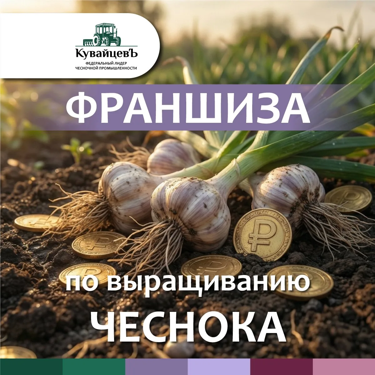 Франшиза фермы чеснока с доходом от 3 млн руб.* в сезон!