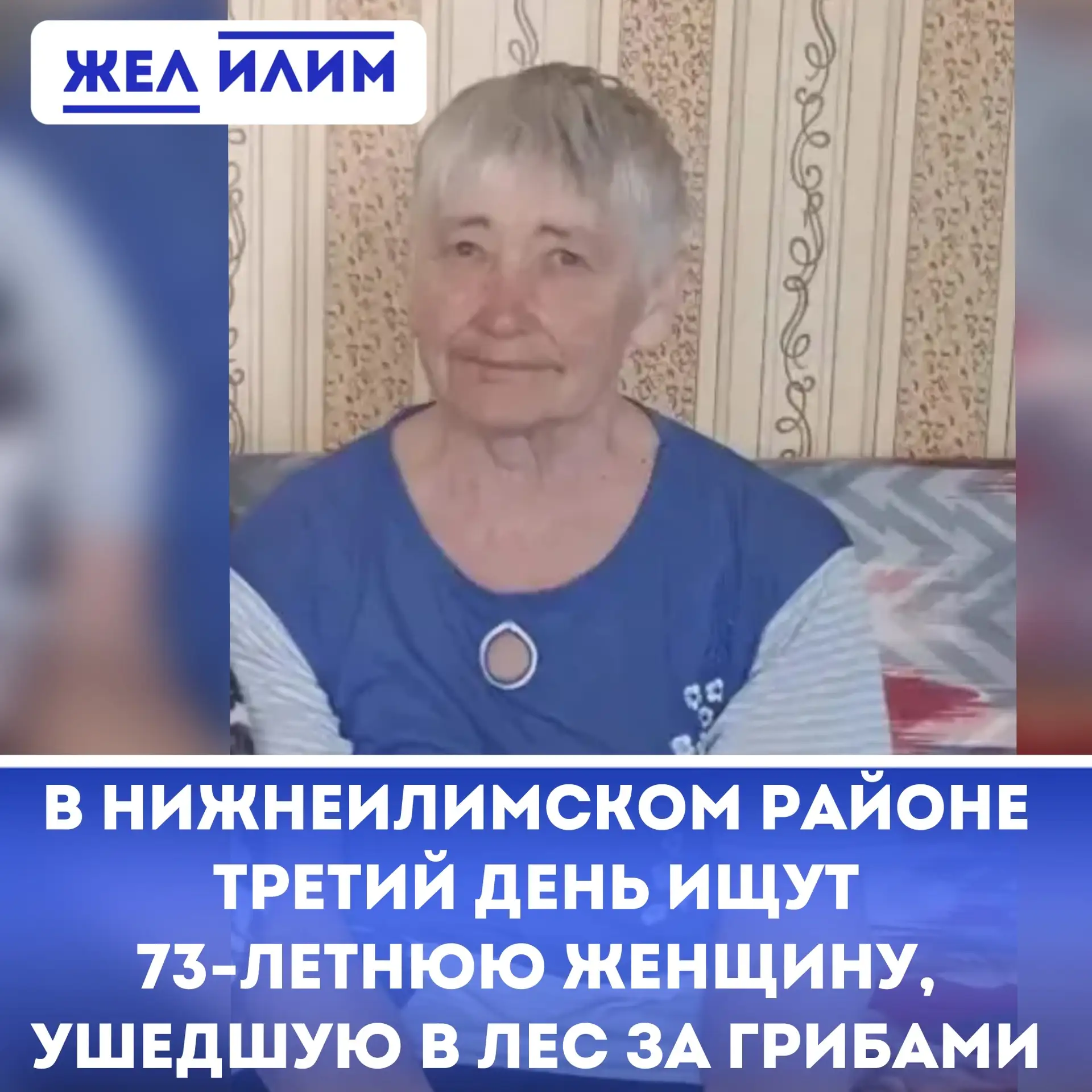 ⚠️ В Нижнеилимском районе третий день ищут 73-летнюю женщину, ушедшую в лес за грибами