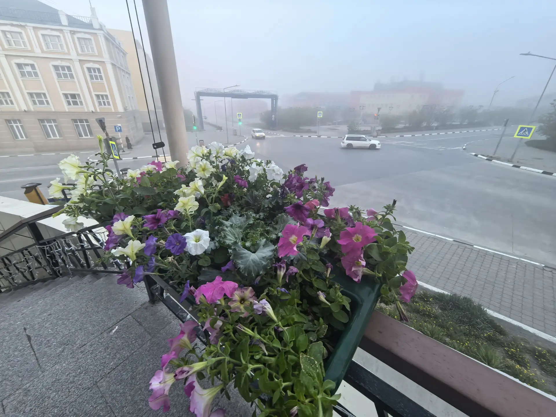 Анадырь украсили клумбы с цветами. Напоминают нам о том, что лето есть. Где-то там за туманом.