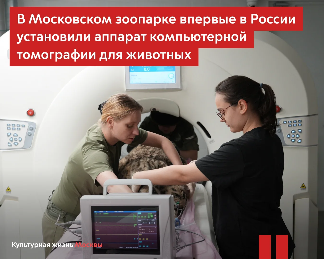 В Московском зоопарке впервые в России установили аппарат КТ для животных  Компьютерный томограф (КТ