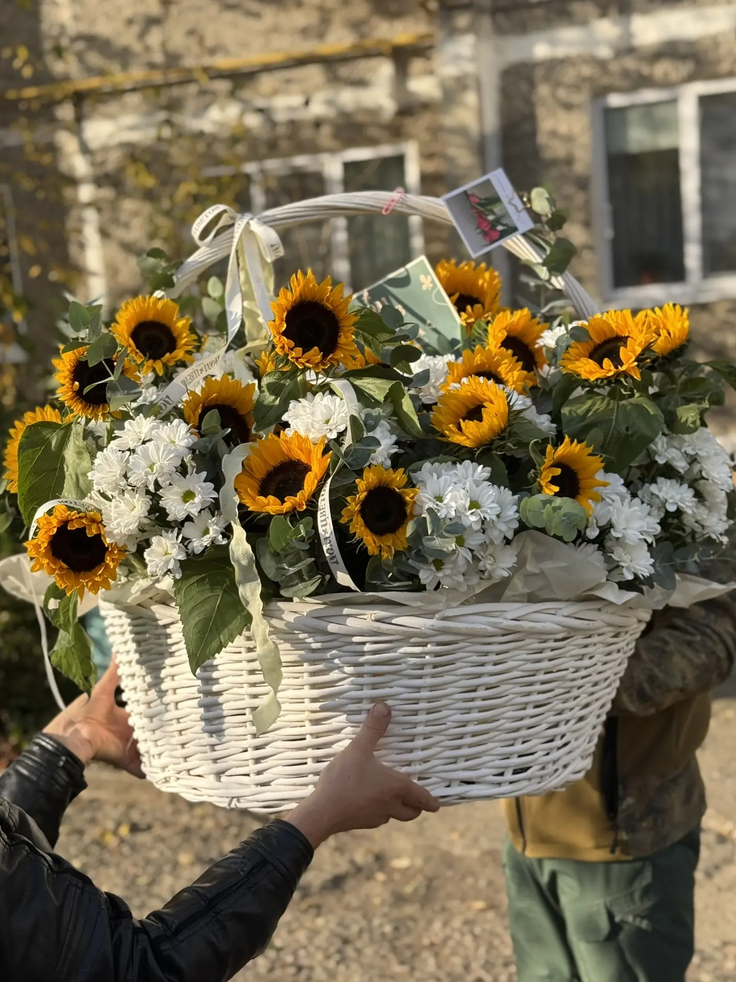 Такое доброе воскресное утро☀️