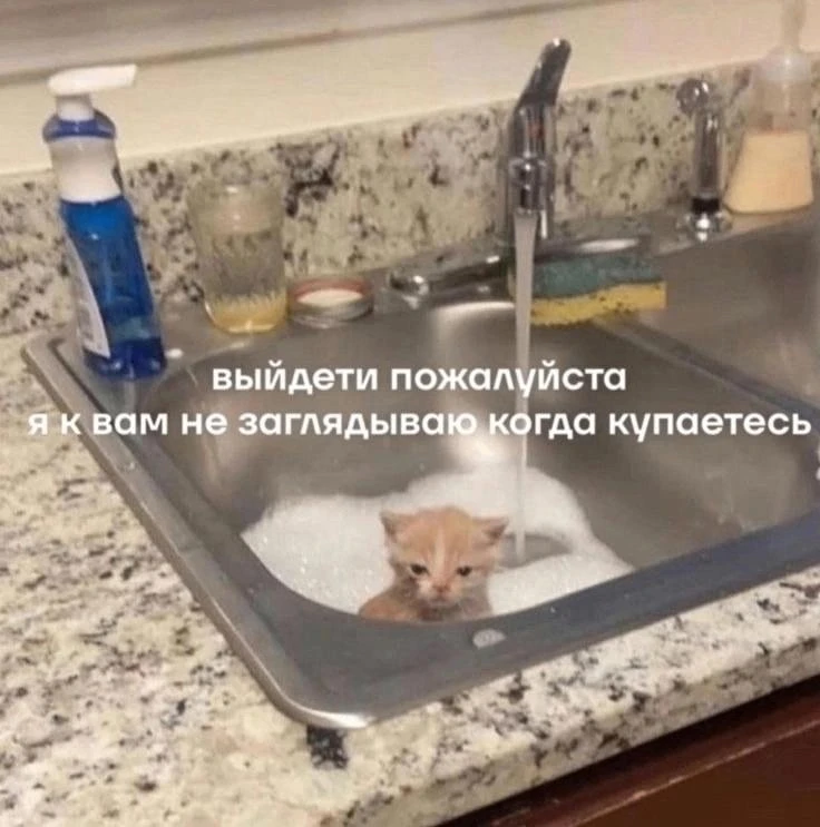 Кыш все быстро 😡😡