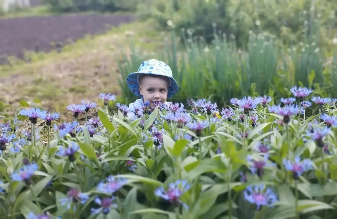 ☀️Добрый день, новошешминцы!

💚Отличного настроения и хорошего выходного дня сегодня желает  вам Ма