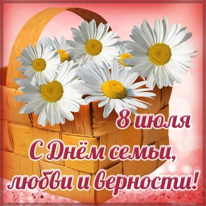 Нарекли ромашку
Символом любви. 
Символом союза, 
Брака и семьи. 
Чистый и невинный
У ромашки цвет. 