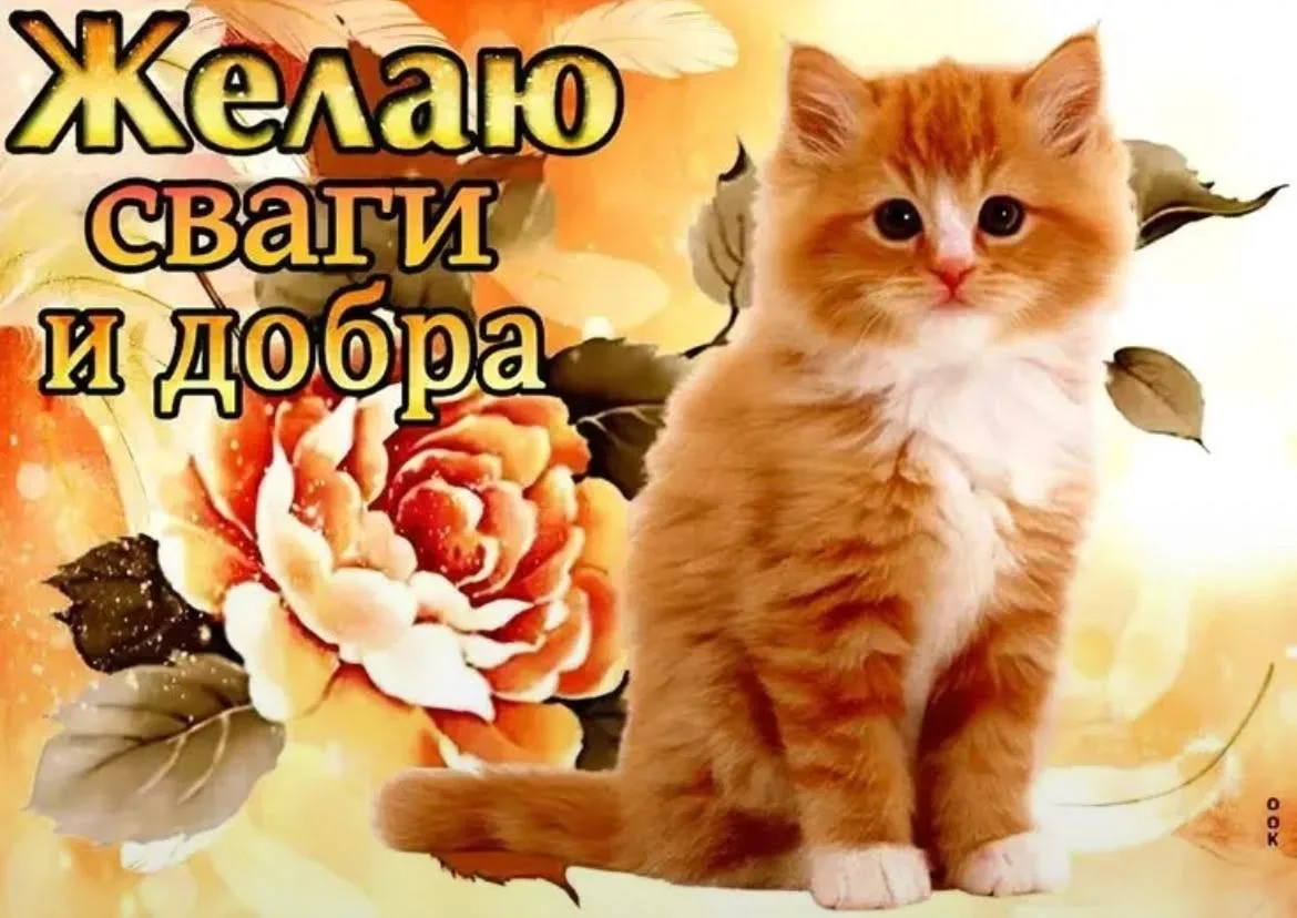 паблик уходит на ночную перезагрузку, пожалуйста оставайтесь на своих местах 🙏