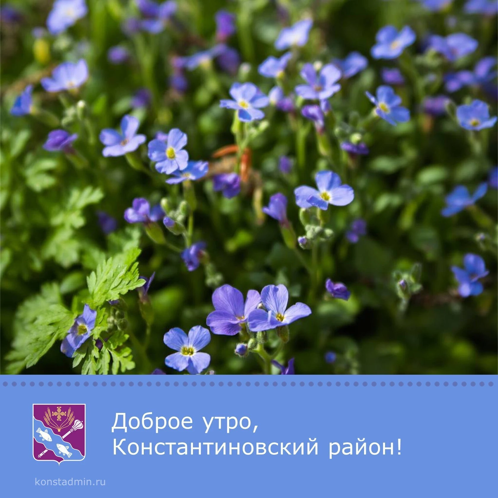 Доброе утро, уважаемые жители Константиновского района!