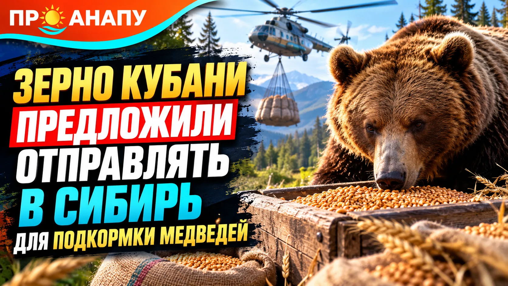 Зерно с Кубани предложили отправлять в Сибирь для подкормки медведей