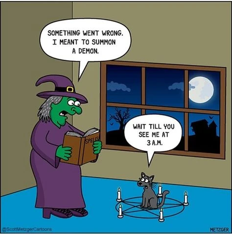 #котомем