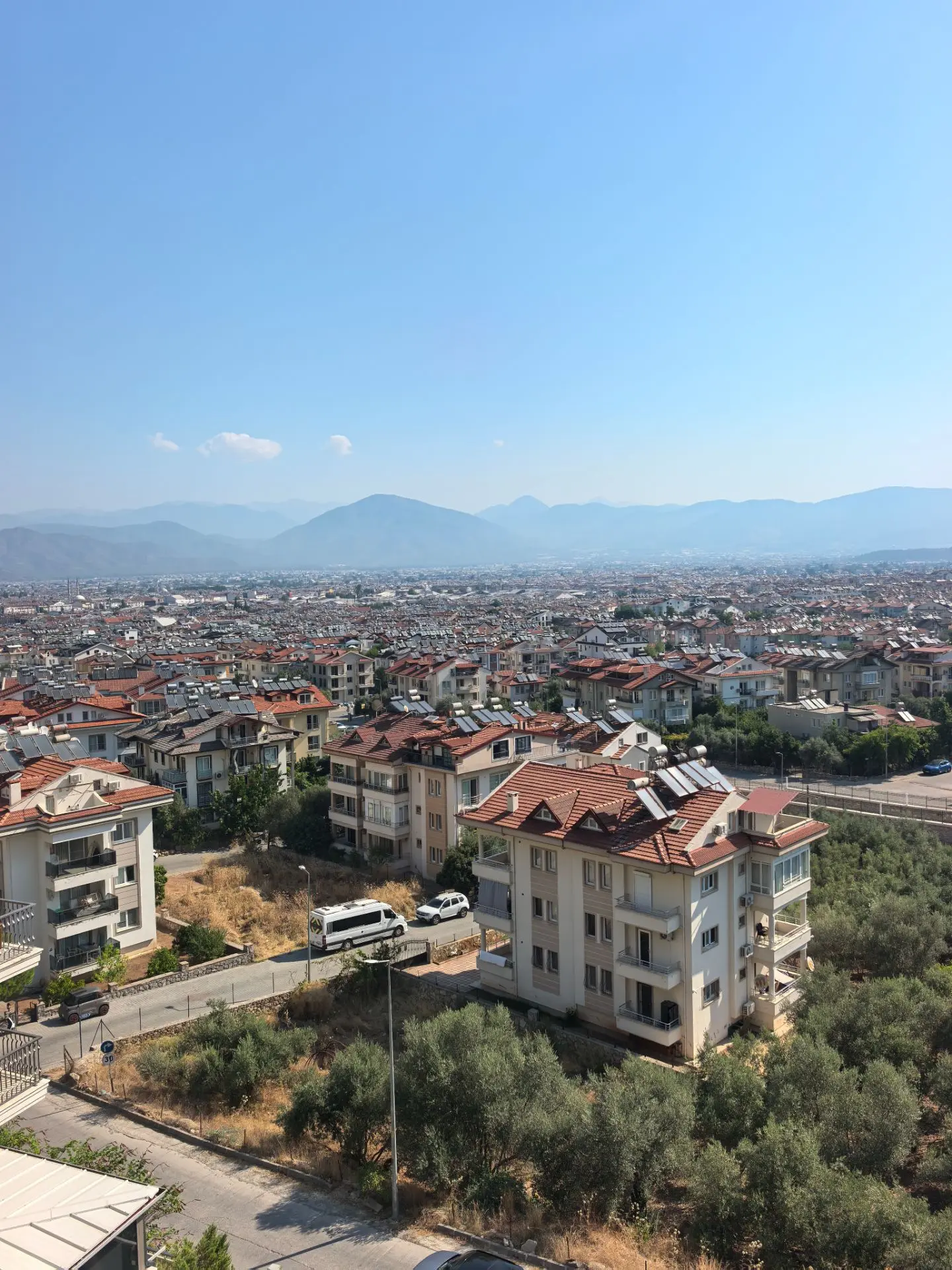 Доброе утро ☀️

Мы уже дома. Вчера кошка нас ждала у шлагбаума на въезде в комплекс. Бежала за мной 