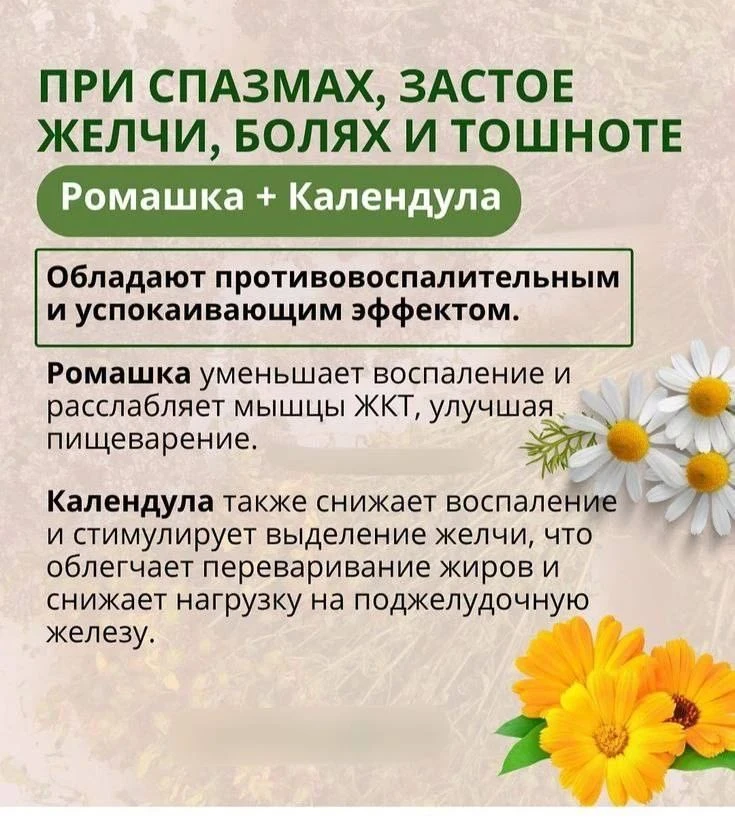 💚Средство при спазмах, застое желчи, болях и тошноте!