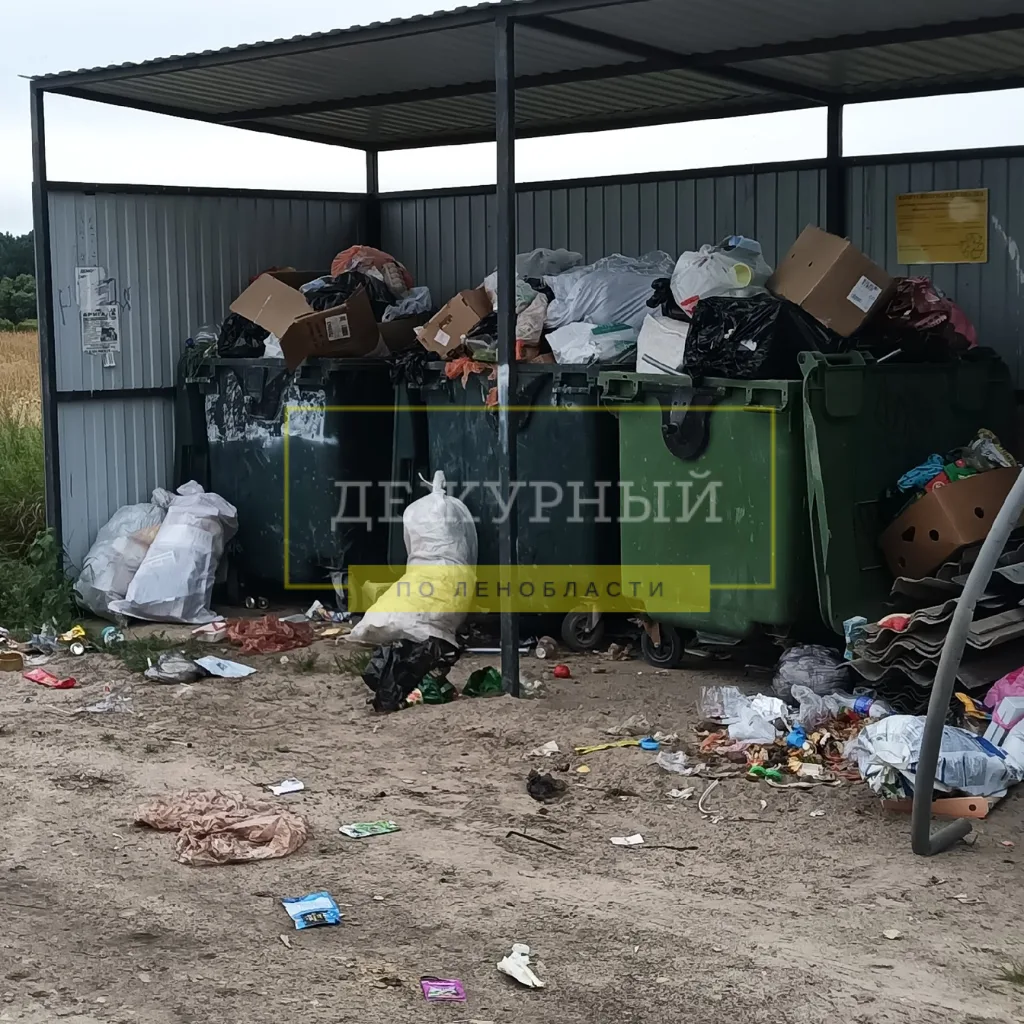 Д.Кайболово Тосненский район Не вывозят вторую неделю,вонь ужас,а платим за вывоз мусор...