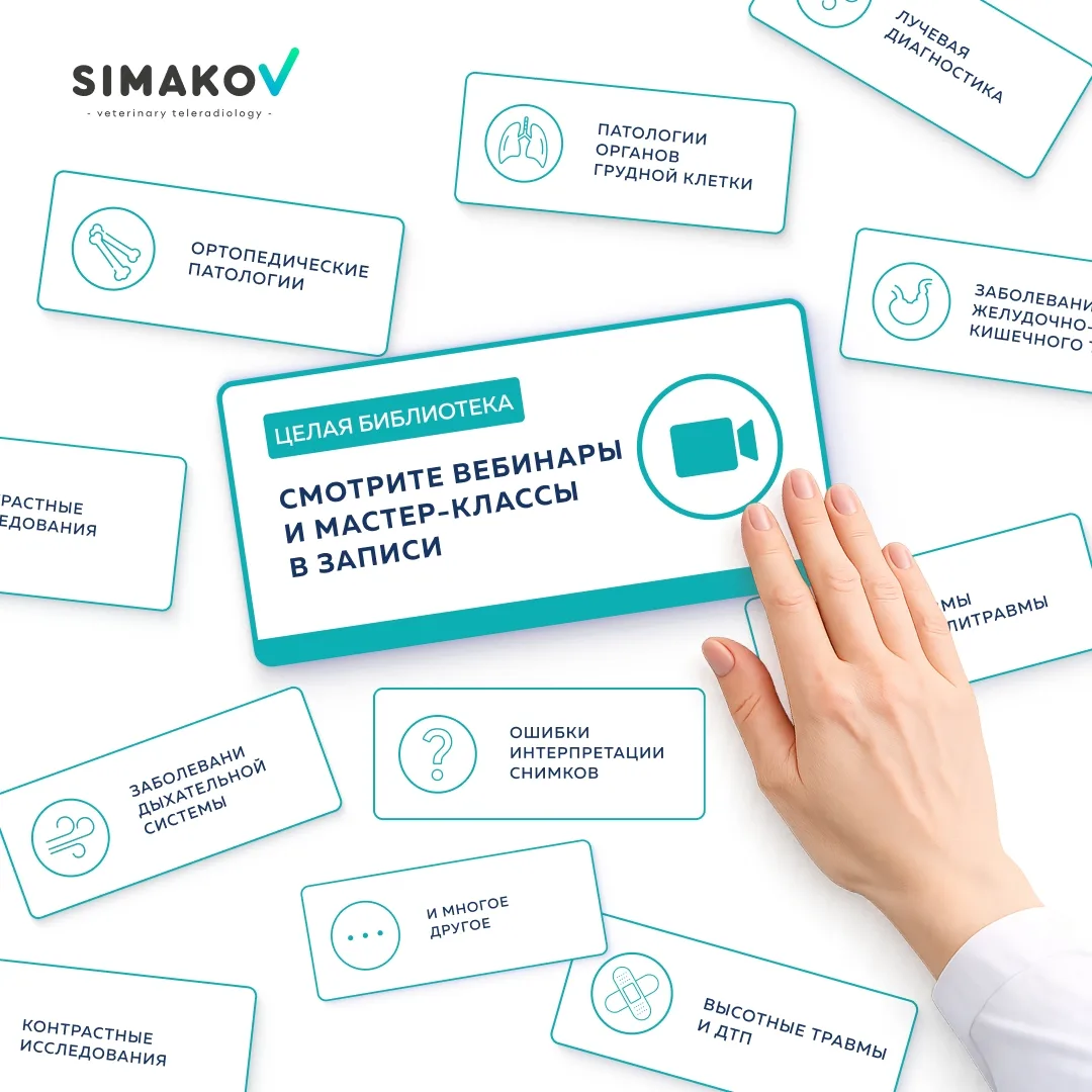 💻 Обучение в удобное время

Не всегда получается присоединиться к эфиру в день проведения. Поэтому 