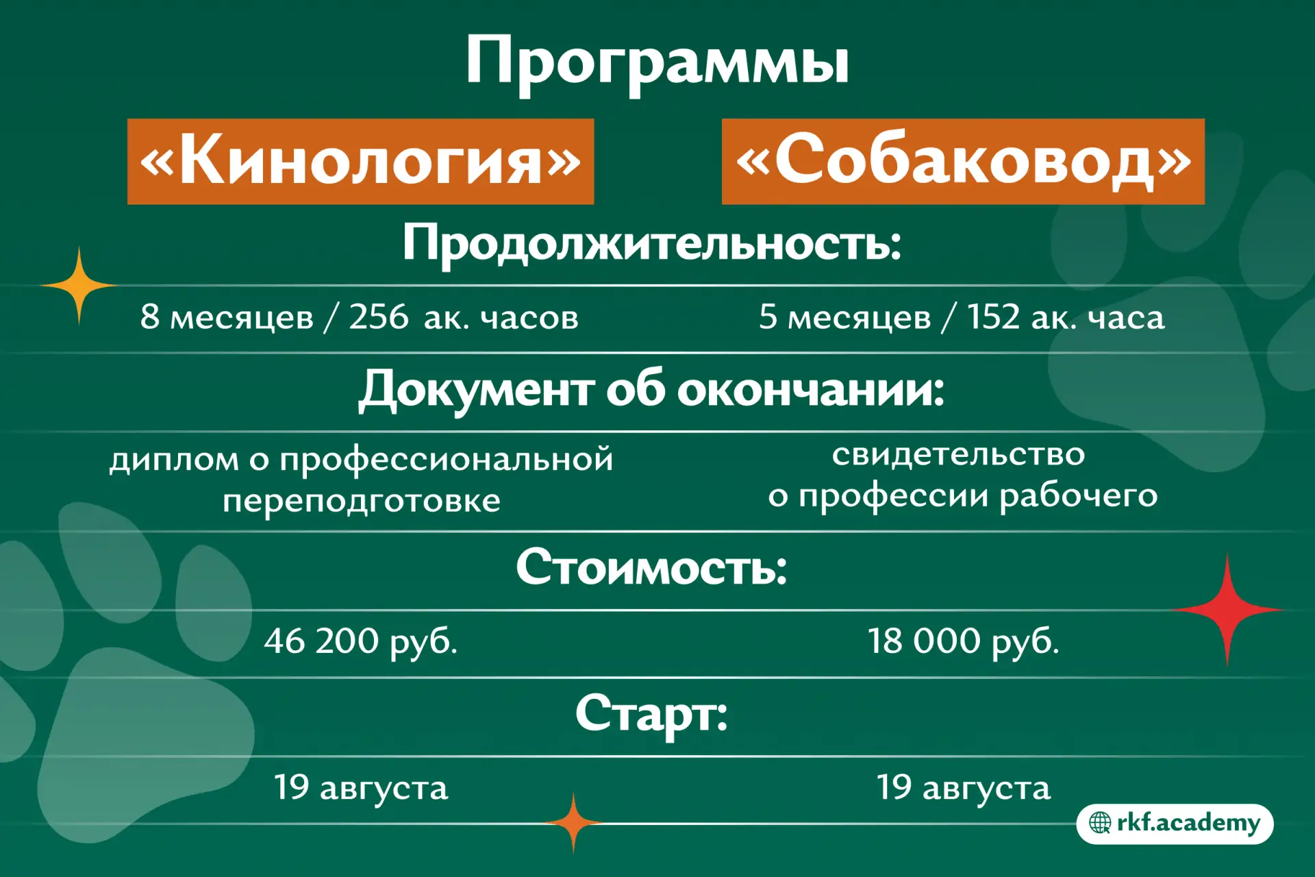 🐾 Вы любите собак. Но что дальше?